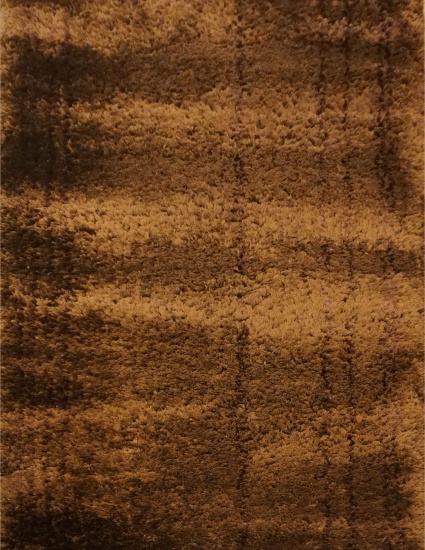Karpet shaggy 8